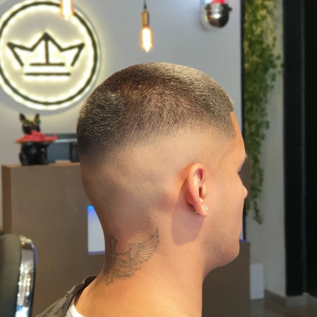 Imagen de la galería 9